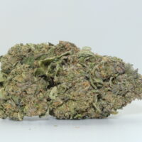 Black Truffle THCA Hemp Flower