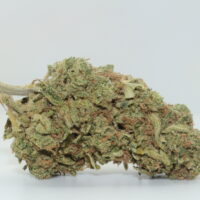 Blue Dream