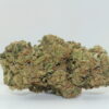 Canal St. Runtz THCA Hemp Flower