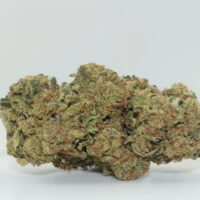 Canal St. Runtz THCA Hemp Flower