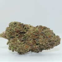 Mandarin Sunset THCA Hemp Flower