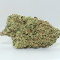 Lemon Kush THCA Hemp Flower