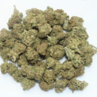 Canal St. Runtz THCA Hemp Flower Smalls
