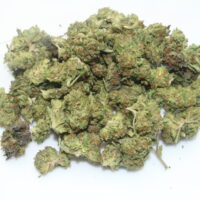 Gelato Smalls