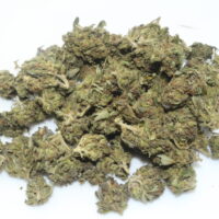 Apples & Bananas THCA Hemp Flower Smalls